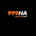 999ha Game