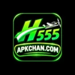 H555 Game Logo